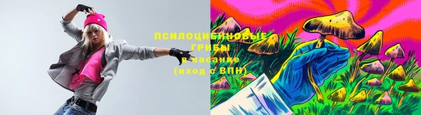 гидропоника Абинск
