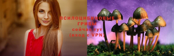 гидропоника Абинск