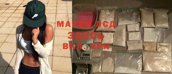 хмурый Алзамай